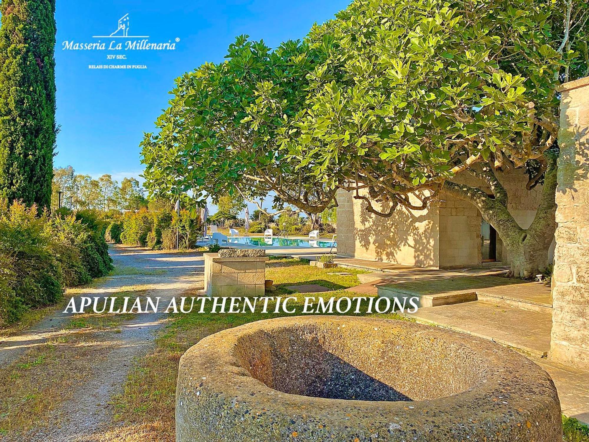 Masseria La Millenaria San Foca Exterior foto